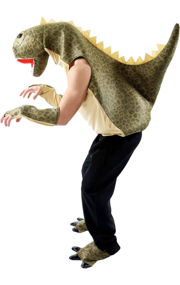 Adult Dinosaur Animal Costume