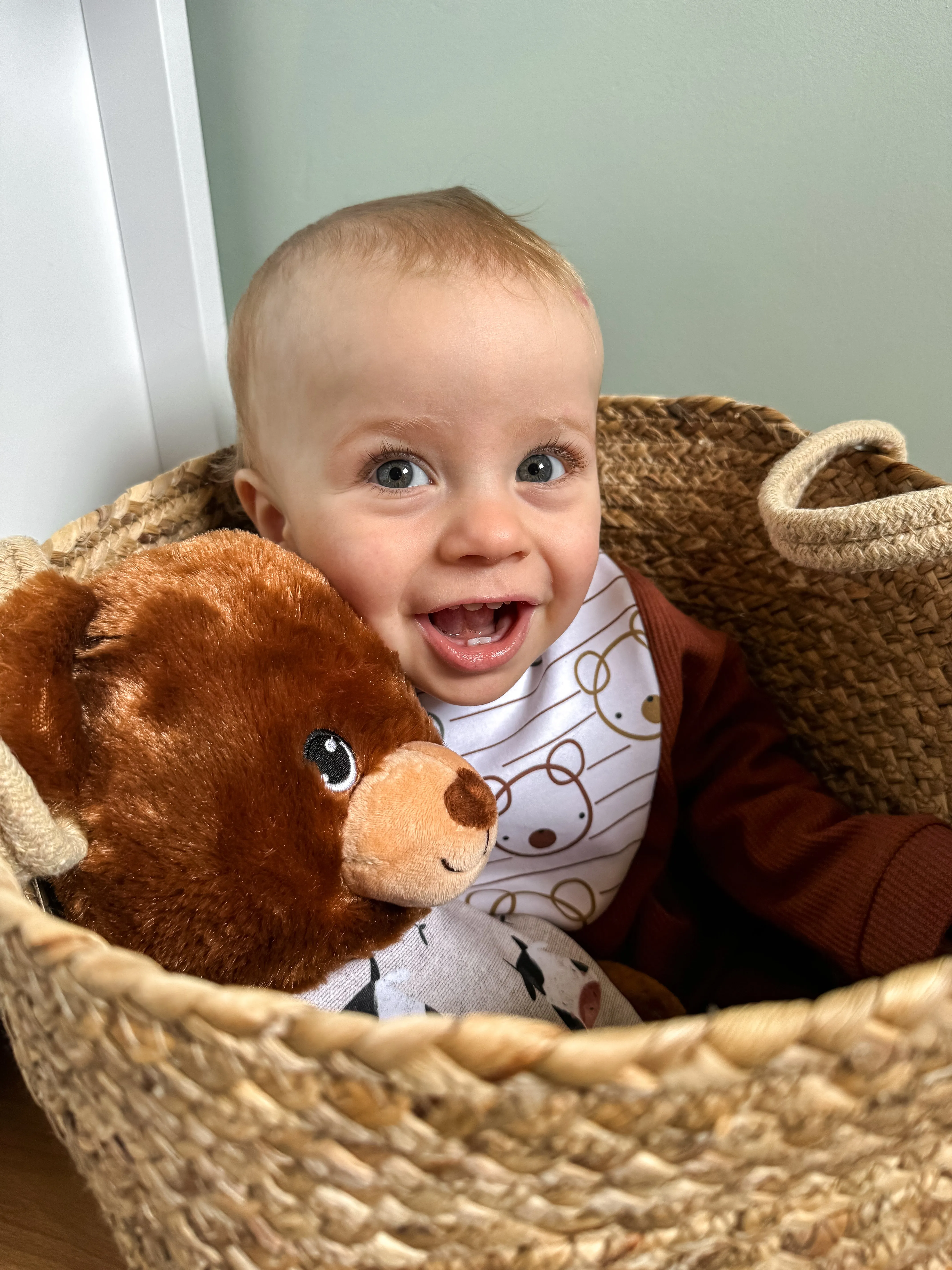 Bears Waterproof Dribble Bib