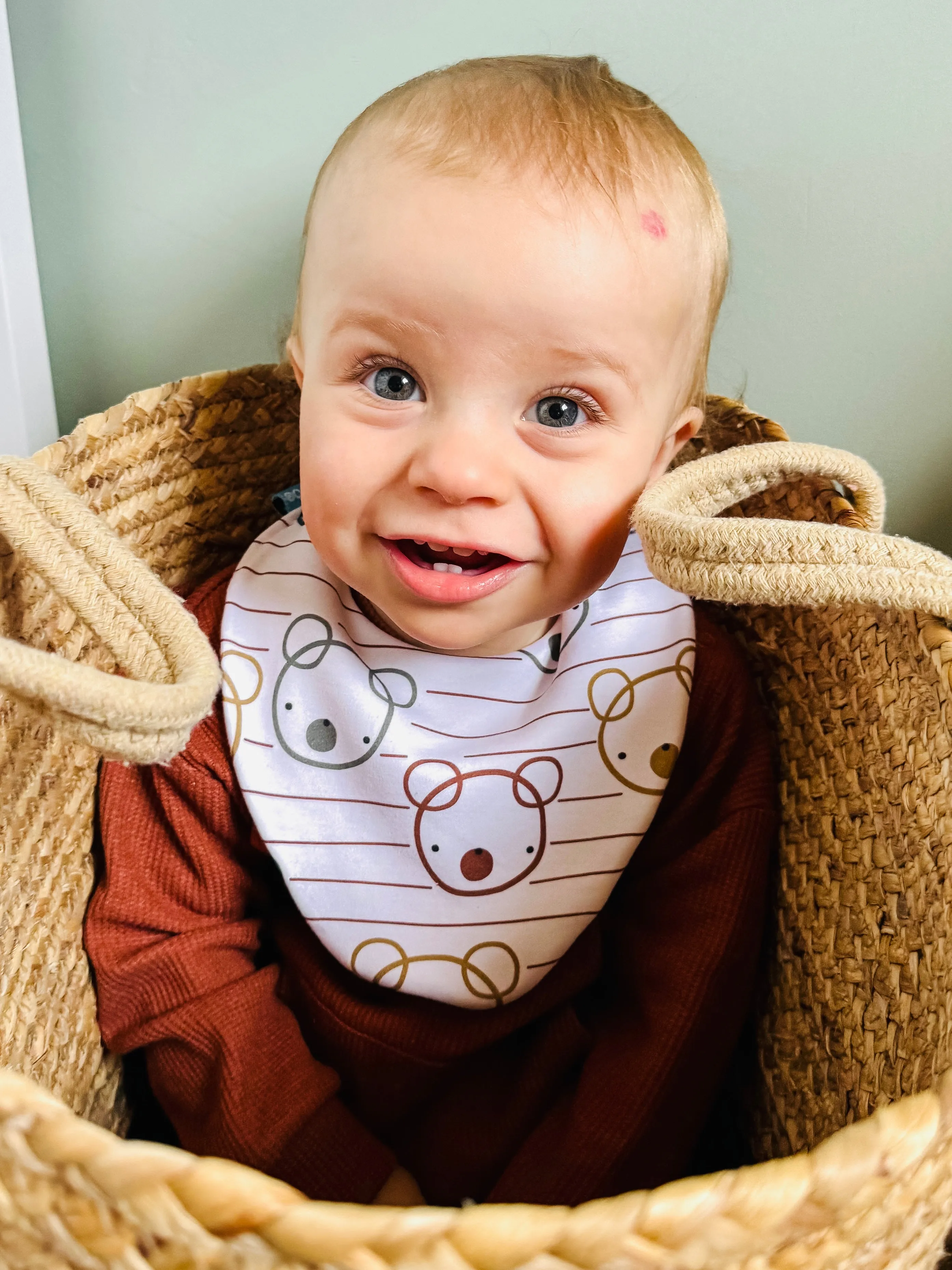 Bears Waterproof Dribble Bib