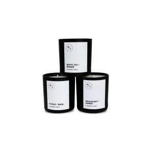 Fresh & Clean Candle Bundle