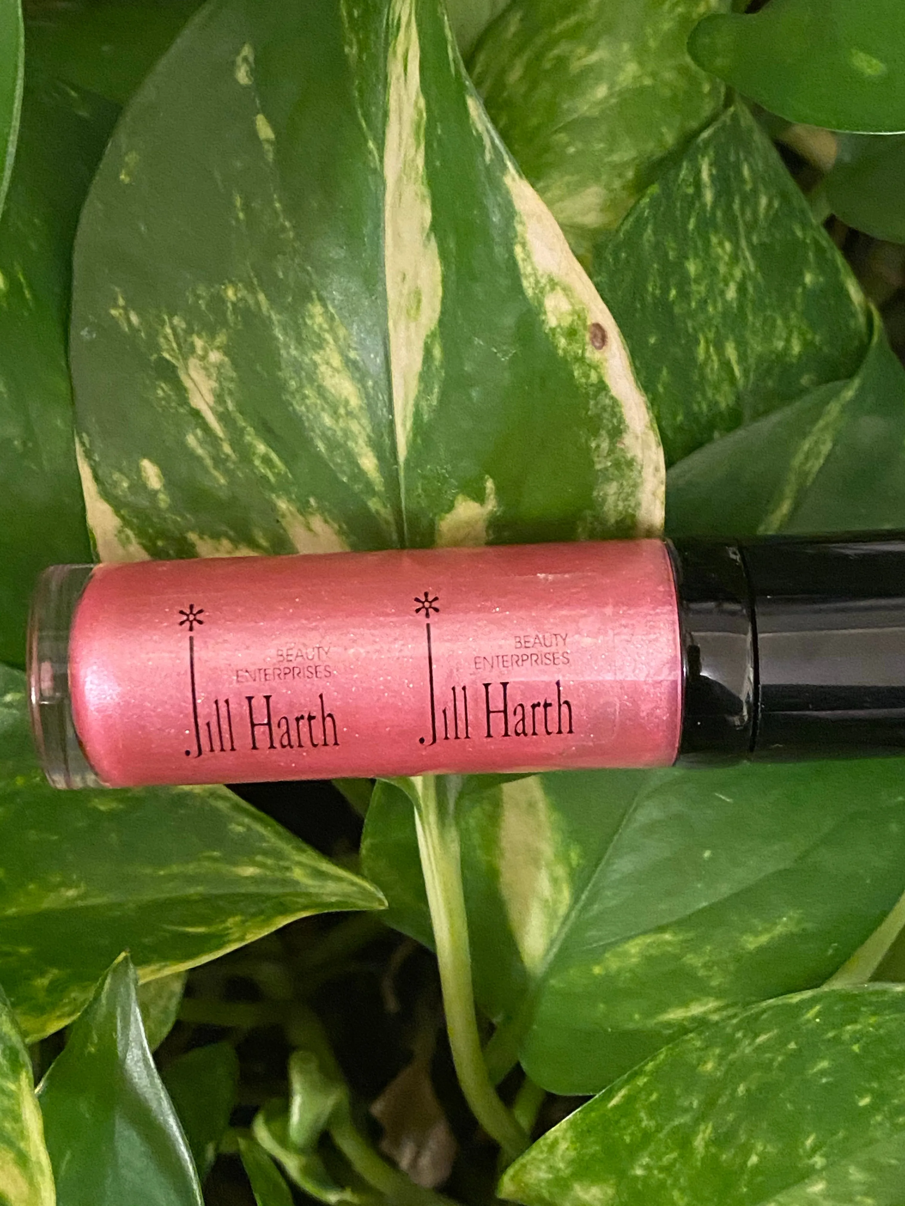 Pale Petal Luxury Lip Gloss