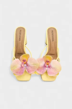 Peach Orchid Heels