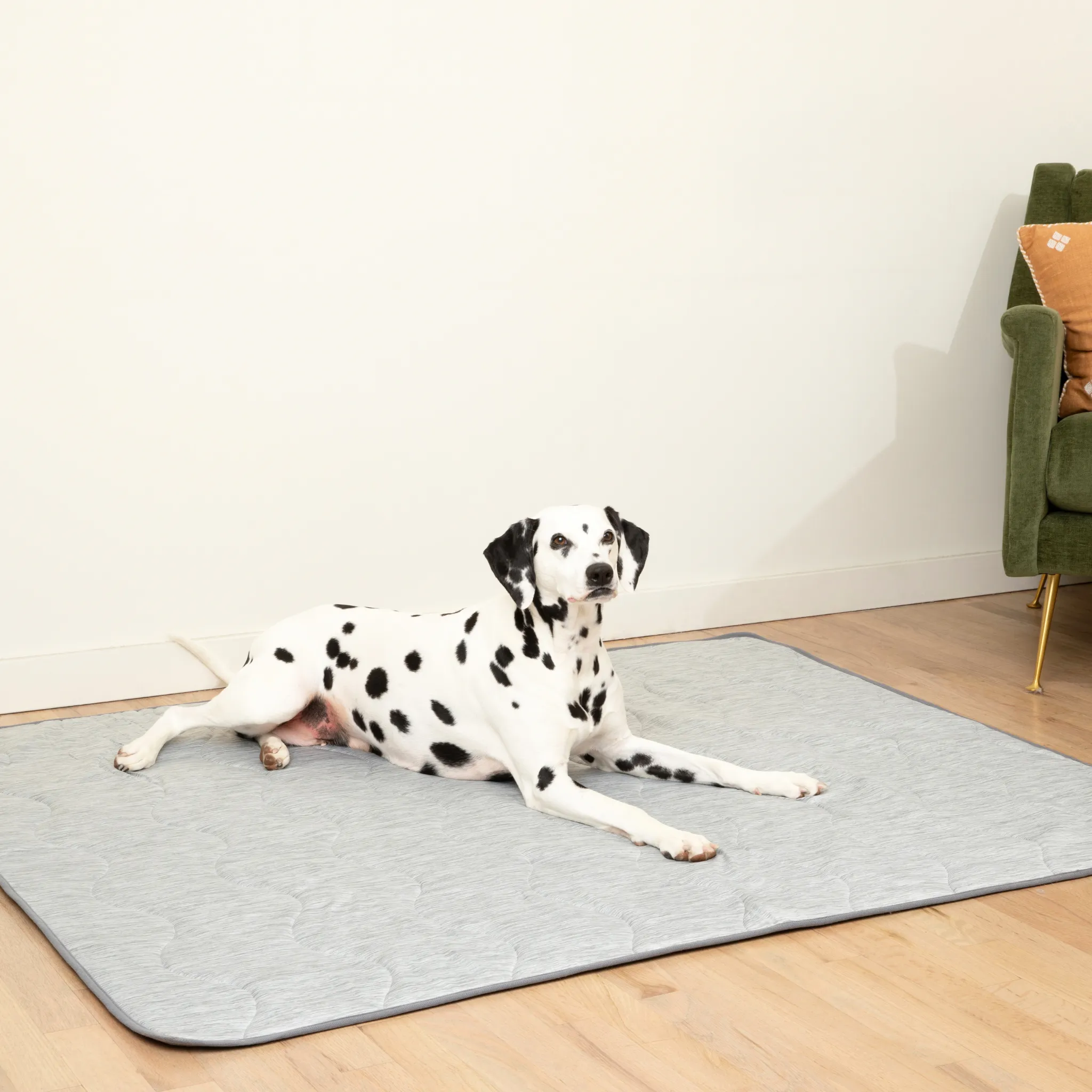 PupChill™ Cooling Waterproof Blanket
