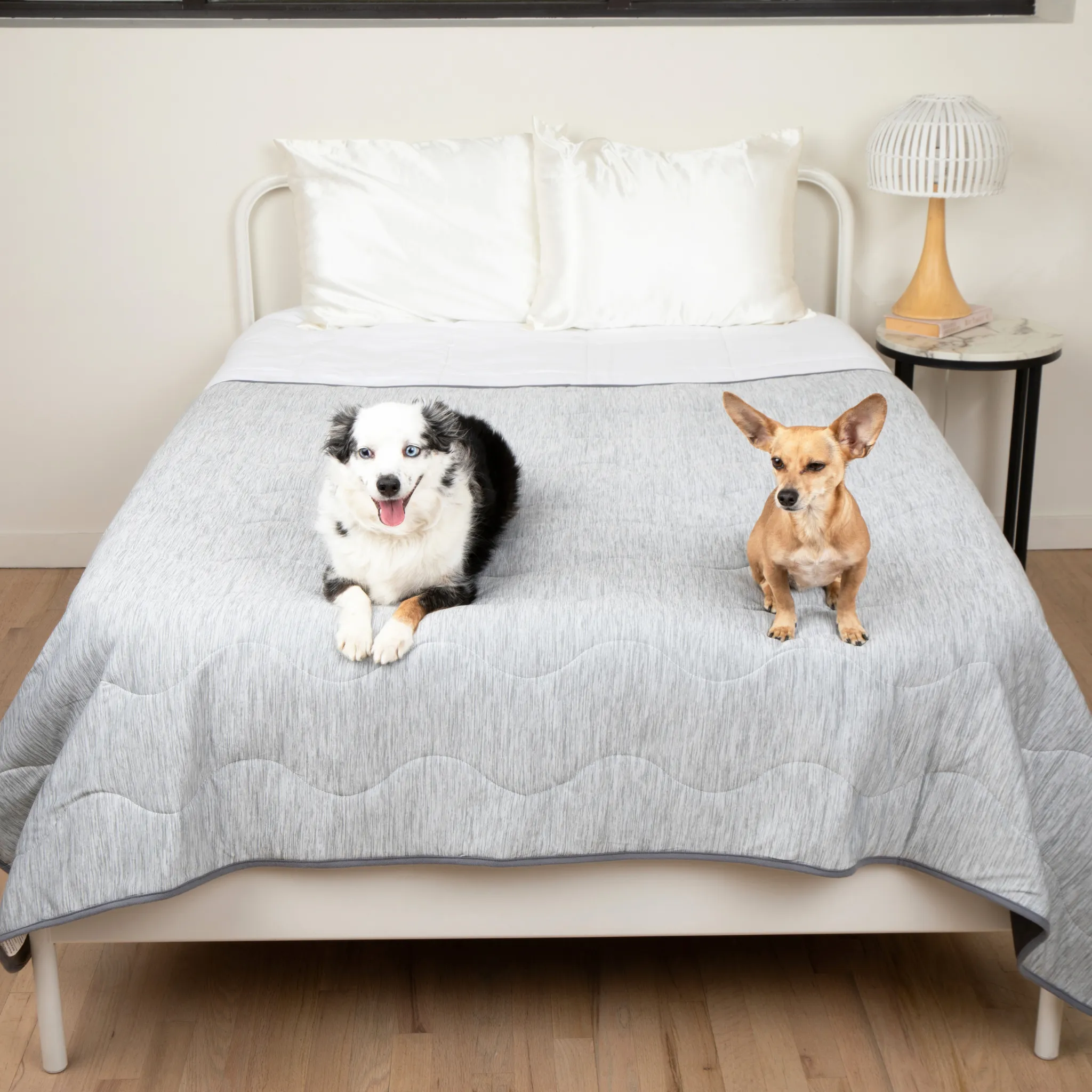 PupChill™ Cooling Waterproof Blanket