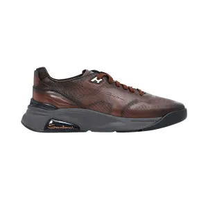 Santoni Men's Leather Dark Brown Sneaker