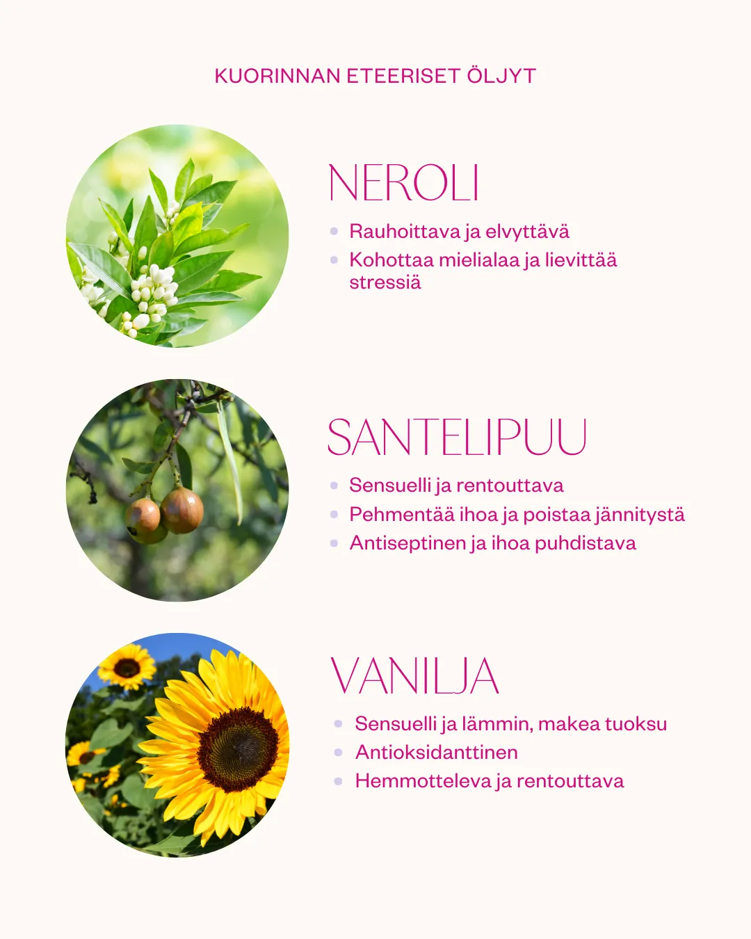 VanillaBerry aromatherapeutic body polish